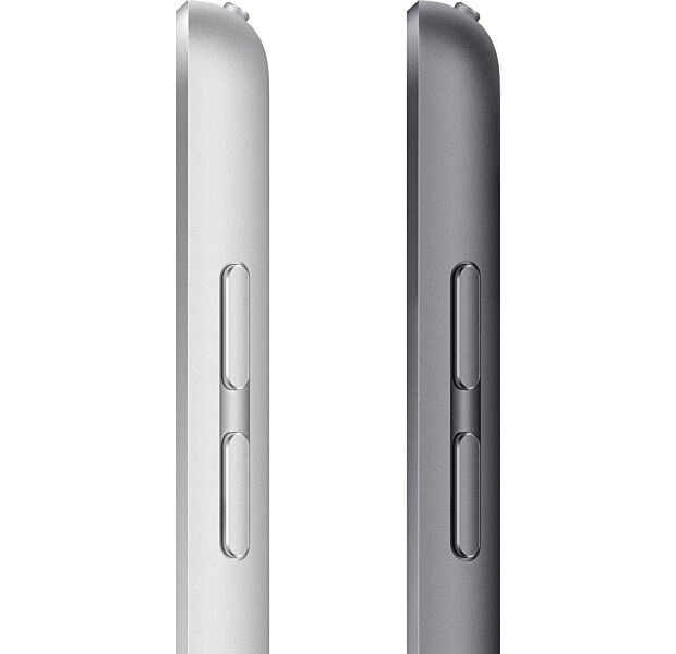 iPad9 10.2 2021 Wi-Fi 256 Silver MK2P3