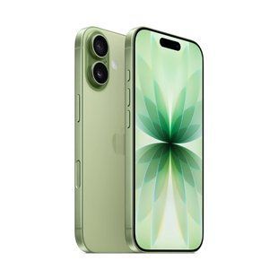 Apple iPhone 17 256GB SIM Sage (MG6N4)