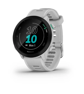 Смарт-годинник Garmin Forerunner 55 Whitestone 010-02562-11
