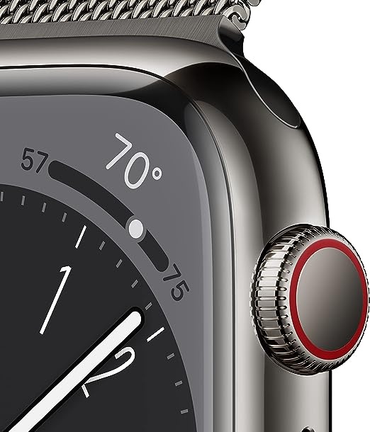 Apple Watch 8 41mm LTE Graphite S. Steel Case w. Milanese Loop Graphite MNJL3/MNJM3