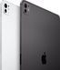 Планшет Apple iPad Pro 13 2025 Wi-Fi 512GB Space Black (MDYL4)