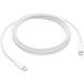 Кабель USB Type-C Apple USB-C Charge Cable 240W 2m (MU2G3)