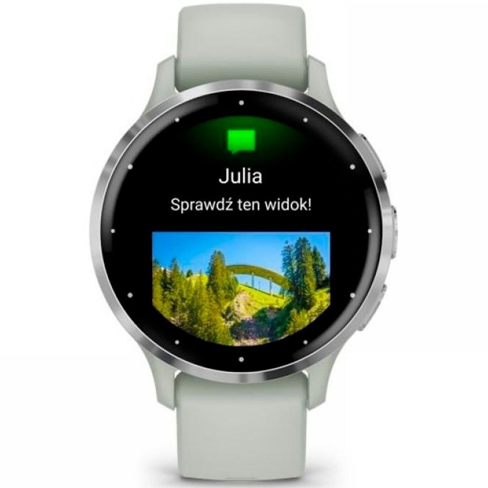 Garmin Venu 3S Silver S. Steel Bezel w. Sage Gray Case and S. Band 010-02785-01