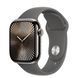 Apple Watch Series 10 Cellular 42mm Natural Titanium Case w. Stone Grey Sport Band - M/L (MWXE3)