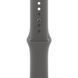 Apple Watch Series 10 Cellular 42mm Natural Titanium Case w. Stone Grey Sport Band - M/L (MWXE3)