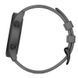 Garmin Approach S12 Slate Gray 010-02472-13/03