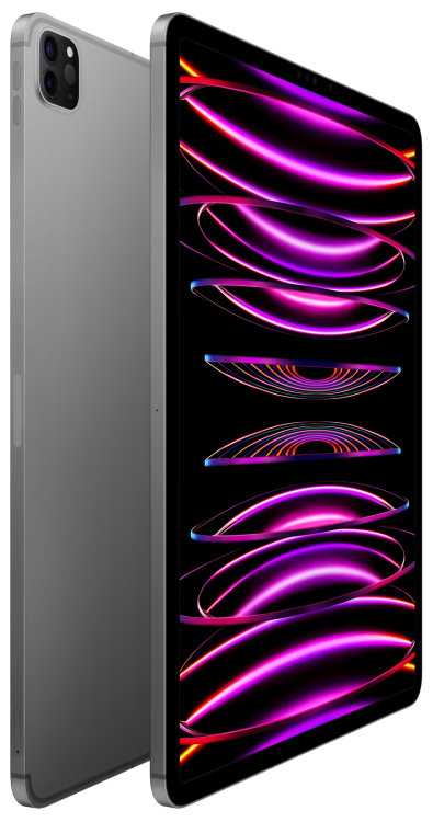 iPad-PRO 12.9 M2 2022 Wi-Fi 256 Gray MNXR3