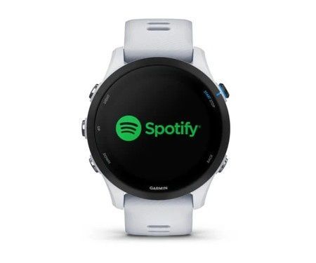 Garmin Forerunner 165 Music Mist Grey/Whitestone GPS 010-02863-31