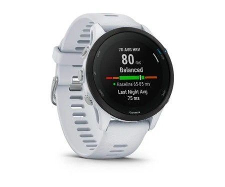 Garmin Forerunner 165 Music Mist Grey/Whitestone GPS 010-02863-31