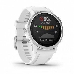 Garmin Fenix 6S Silver/White 010-02159-00