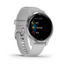 Garmin Venu 2S Smart watch Silver Bezel With Mist Gray Case Silicone Band 010-02429-12/02