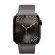 Apple Watch Series 10 Cellular 42mm Slate Titanium Case w. Slate Link Bracelet (MX0M3+MXMD3)