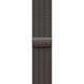 Apple Watch Series 10 Cellular 42mm Slate Titanium Case w. Slate Milanese Loop (MX053)