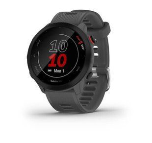 Garmin Forerunner 55, Monterra Grey 010-02562-13