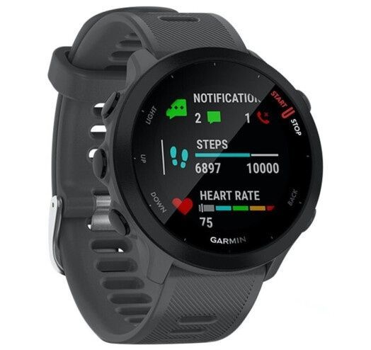 Garmin Forerunner 55, Monterra Grey 010-02562-13