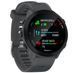 Garmin Forerunner 55, Monterra Grey 010-02562-13