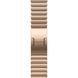 Apple Watch Series 10 Cellular 46mm Gold Titanium Case w. Gold Link Bracelet (MX183+MXMH3)