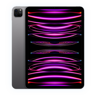 iPad-PRO4 11 M2 2022 LTE 2TB Gray MP5G3,MNYL3