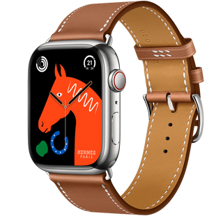 Apple Watch 8 45mm LTE Hermes Silver Stainless Steel Case with Gold Single Tour MNL03