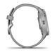 Garmin Venu 2 Plus Silver S. Steel Bezel w. Powder G. Case and S. Band 010-02496-00/10